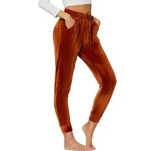 Wild Fable Women's Rust Velvet Jogger Pants